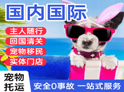 太原空运地址国际宠物托运 【国